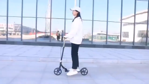 Adult Teen Dual Brake Foldable Kick Scooter from age 7 to adult.