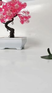 SR12 Lip Scrub Exfoliator & Moisturizer Bibir Lembut Dan Lembab Anti Pecah-pecah