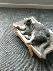 🔥🔥🔥Cat Scratch Board Cat Bed 3 in 1 Pad Vertical Pet  Grinding Nail Scraper Mat Wood Cat Scratching Bed Combo