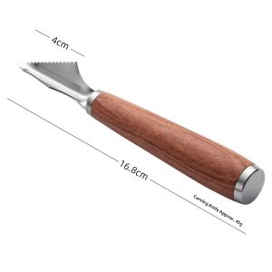 onlycook | Fruit Cutting Set Ice Cream Scoop Watermelon Spoon