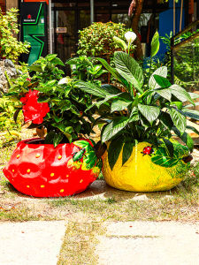 Chậu Hoa Trái Cây Sáng Tạo Cá Nhân Vườn Hoa Ngoài Trời Ban Công Biệt Thự Trang Trí Vườn Chậu Hoa Quả Dâu Tây Chanh