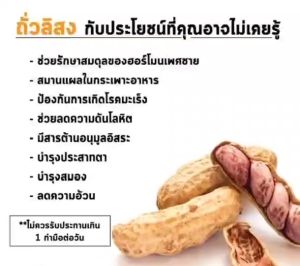 ถั่วลิสง 500กรัม หอม อร่อย เนื้อแน่น กลิ่นหอม เคี้ยวเพลิน ถั่วลิสง ถั่วเคี้ยว