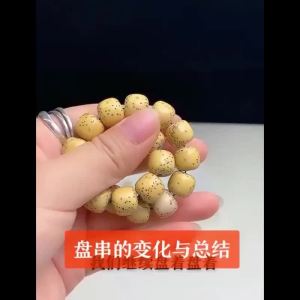 海南星月菩提子手串男十二生肖本命佛手链女本命年文玩盘玩佛珠