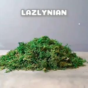 MS4. ARTIFICIAL MOSS GRASS 1BAG 1/2BAG1/4BAG FOR SALE