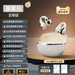 2025 New Bluetooth Wireless Earclip Style Sports Earphones Long Battery Life True Wireless Hanging Ear Clip on Earphones