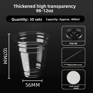 NIGESI | Summer Disposable Ice Cup with Cubes