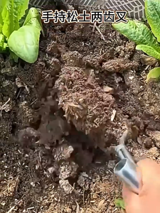 ส้อมพรวนดินสองง่ามมือถือ◆เหล็กหนา1.8มม.+ด้ามท่อกลม◆แรงทน>200N◆เหมาะสำหรับทำไร่-สวนครัว◆ กำจัดวัชพืช คลายดิน sharp