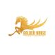 Golden Horse Paint