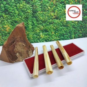 klokotan pipa once moncong Marlino model bulat minimalis A248