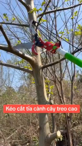 Kéo cộng lực cắt cành giật dây trên cao 3m- Bộ đầu kéo kèm lưỡi cưa