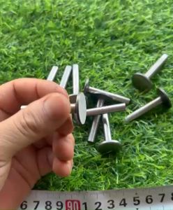 1 Đôi 2 Cái Nấm SuPap Nhỏ Đẩy Đúa 173F đến 178F Nấm Bé Su Páp Máy Cày mini 170F đến 178F(kho6201)