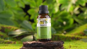 Bộ Tinh Dầu Nguyên Chất PHATOIL 30ml Dùng Làm Nến Thơm - Tinh Dầu Thơm Oải Hương Bạc Hà Vani Tràm Trà Khuynh Diệp