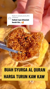 Dried  fig buah tin high quality  fresh stock from Turkey 1kg/500g/250g/100g
