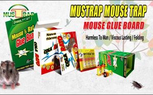 Premium - Lem Tikus / Mouse Trap - Perangkap / Jebakan Kuat dan Lengket
