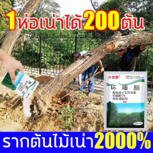 ไม้ไผ่ร้อยปีรากเน่า ยาฆ่าไม้ไผ่ สารกำจัดกอไผ่ ผงกำจัดกอไผ่ เฮกซาซิโนน 5% 500g ไม่ทำร้ายดิน เม็ดกำจัดต้นไม้ ผงกำจัดต้นไผ่ ยาฆ่าไผ่ ยากำจัดกอไผ่ กำจัดกอไผ่ ปูกำจัดกอไผ่ กำจัดต้นไม้ สารกำจัดต้นไผ่ ผงฆ่ากอไผ่ สารกำจัดก