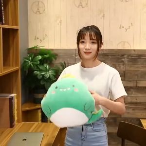 ✅✅พร้อมส่ง✅✅ หมอนผ้าห่ม หมอนผ้าห่มการ์ตูน หมอนผ้าห่ม หมอนอิง ผ้าห่ม หมอน ผ้าห่มพับได้ หมอนพกพา ของขวัญปีใหม่ หมอนผ้าห่ม การ์ตูน - Lazada