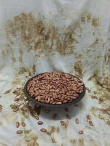 Kacang Merah Jago super