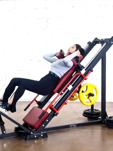 45° Leg Press Hack Squat Machine Plate Loaded Hamstrings Glutes Extension Hex Weight Plate Storage Lower Body Equipment