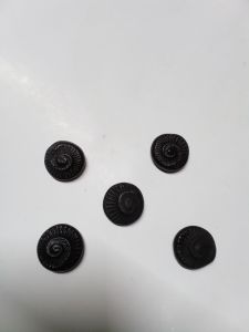 small saaligramam from India one pcs(sizes +/-)