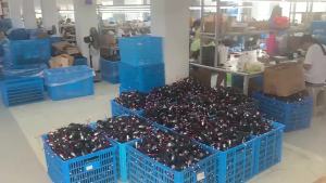 ยังซี เครื่องกำจัดไรขนาดเล็ก เครื่องดูดฝุ่นไร้สายแบบมือถือสำหรับบ้าน เครื่องฆ่าเชื้อด้วย UV เครื่องกำจัดไร