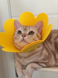 Cute Flower Shaped Adjustable Cat Dog Elizabethan Recovery Collar Puppy Kitten Protective Anti-Bite Healing Aid