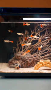 ตู้ปลาอัจฉริยะพร้อมไส้กรอง MI JIA Smart Fish Tank 20L พร้อมให้อาหารอัตโนมัติ การกรองอัตโนมัติ แสงสว่าง การควบคุมแอป MI HOME
