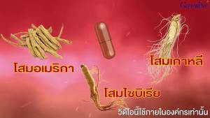 กิฟฟารีน โสมแดง 3G สกัดจากโสมแดงเกาหลี ผสมสารจากโสมอเมริกันและโสมไซบีเรีย แคปซูล - สารสกัดจากโสม 3 ชนิด ประโยชน์สำหรับสุขภาพทั่วไป 30 แคปซูล