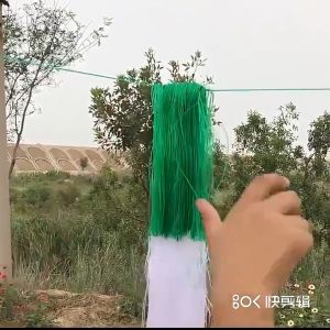 2Mx100M & 3.5Mx100M White Nylon Support Mesh: Hot Selling Garden Plant Climbing Nets