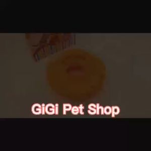 Tháp bóng ba tầng đồ chơi cho thú cưng chó mèo bằng nhựa cao cấp giải trí vờn bắt dễ thương - GiGi Pet Shop