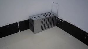 2023 กรงดักหนู ที่ดักหนู กับดักหนู โรงงานราคาส่ง ราคาถูกหรือประกัน เมื่อประเมิน มาถูกรับมาตามมูลค่าที่ให้ได้