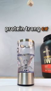 ON Gold Standard 100% Whey Protein - ShapeyourBody