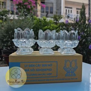 Ly Sen nở dùng làm nến dâng cúng bàn thờ. hộp 6 ly. Nguyên liệu Handmade