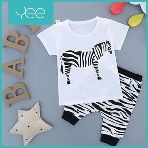 YeeShop เสื้อผ้าเด็กผู้ชาย/ผู้หญิงแขนสั้น ลายม้าลาย/ต้นไม้ ไซส์ 100#/18-24เดือน 110#/2-3ปี 120#/3-4ปี 130#4-5ปี 140#/5-6ปี 150#/6-7ปี (M2 1103)