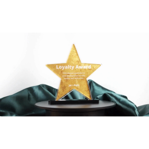 ACRYLIC PLAQUE - ACRYLIC TROPHY FOR AWARDING - STAR OF EXCELLENCE AWARD - CUSTOMIZED PERSONALIZED JAY C. DESIGNS - 8009