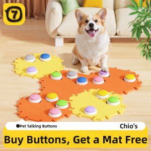 7o | Speaking Training Pet Toy