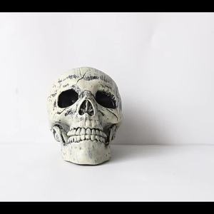 Halloween Realistic Skull Hand Arm Party Home Garden Lawn Decor Outdoor Party Spooky Yard Horror Skeleton Arm Decoration Props