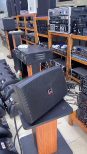 Đôi loa trợ lời karaoke loa tay Audio King hàng bãi có tay treo Bass 16cm 160w