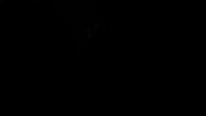 NEEWER Z1 TTL Round Head Flash Speedlite for Canon Nikon Sony (ฟรีเเบต 2 ก้อน) รับประกัน 1 ปี