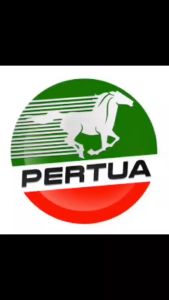 PERTUA Apex Synthetic Performance Oil Change Bundle for Mitsubishi Mirage HB G4 / Chery QQ