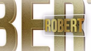 CD.12 : Bolero Nhạc Tình : TỪ KHI VẮNG ANH 16 Bài Hát LOSSLESS