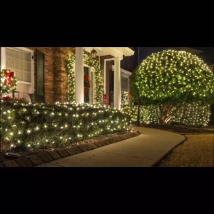 Believe Net Christmas Lights Outdoor Waterproof Net Mesh Christmas Light For Plants Net Lights LED Outdoor Curtain Lights String Lights Christmas Lights Curtain Design Strip Lights for Christmas Lights Outdoors & Xmas Tree Decor | Christmas Decor