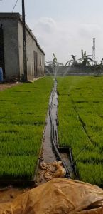 DÂY TƯỚI PHUN MƯA 27mm- 34mm