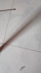 dung dịch sát trùng TH4 tiêu diệt mầm bệnh vi khuẩn virus cho chuồng trại 100ml