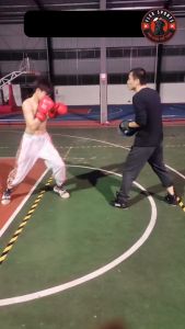Đích đấm Boxing chuyên nghiệp hỗ trợ tập luyện đỡ các đòn đá và đấm đích đấm đá Lamper FLEX SPORTS