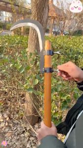 NEW! เครื่องตัดหญ้า Scythe การเกษตร Willow Leaf Siret Nut พิเศษการเก็บเกี่ยวข้าวโพดขนาดเล็ก Scythe หยิบผลไม้มีดราคาประหยัด