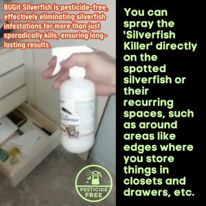 Silverfish Killer (1000% KILL resolve Silverfish Infestation)