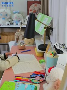 Philips | Eye-protecting Study Full-spectrum Shadowless Reading Lamp
