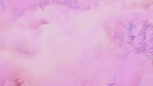 TNTSPACE DUDOO Fantastic Adventure Series Blind Box Figure Hộp mù Mô hình