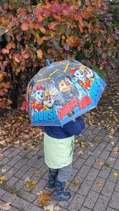8 Ribs Transparent Umbrella Kids Cartoon Frozen Cars Umbrella Semi Auto J Hook Handle Korean Style Parasol / Payung Lut Sinar
