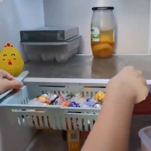 Rak Kulkas Multifungsi Serbagunan / Storage Box Kulkas /Rak Tambahan Kulkas Serbaguna Sliding Rack Multifungsi Organizer Kulkas